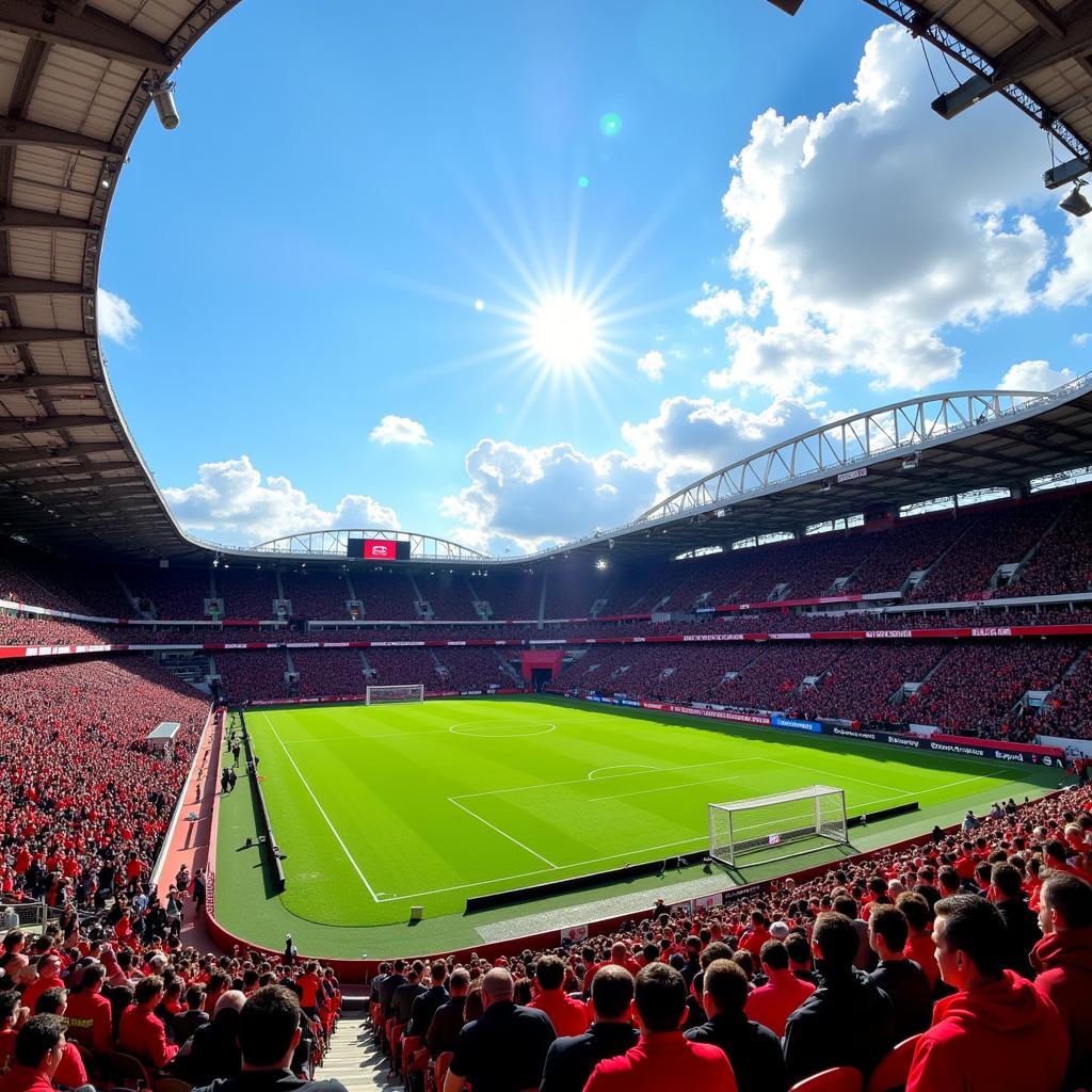 Sonnenschein im Stadion Leverkusen