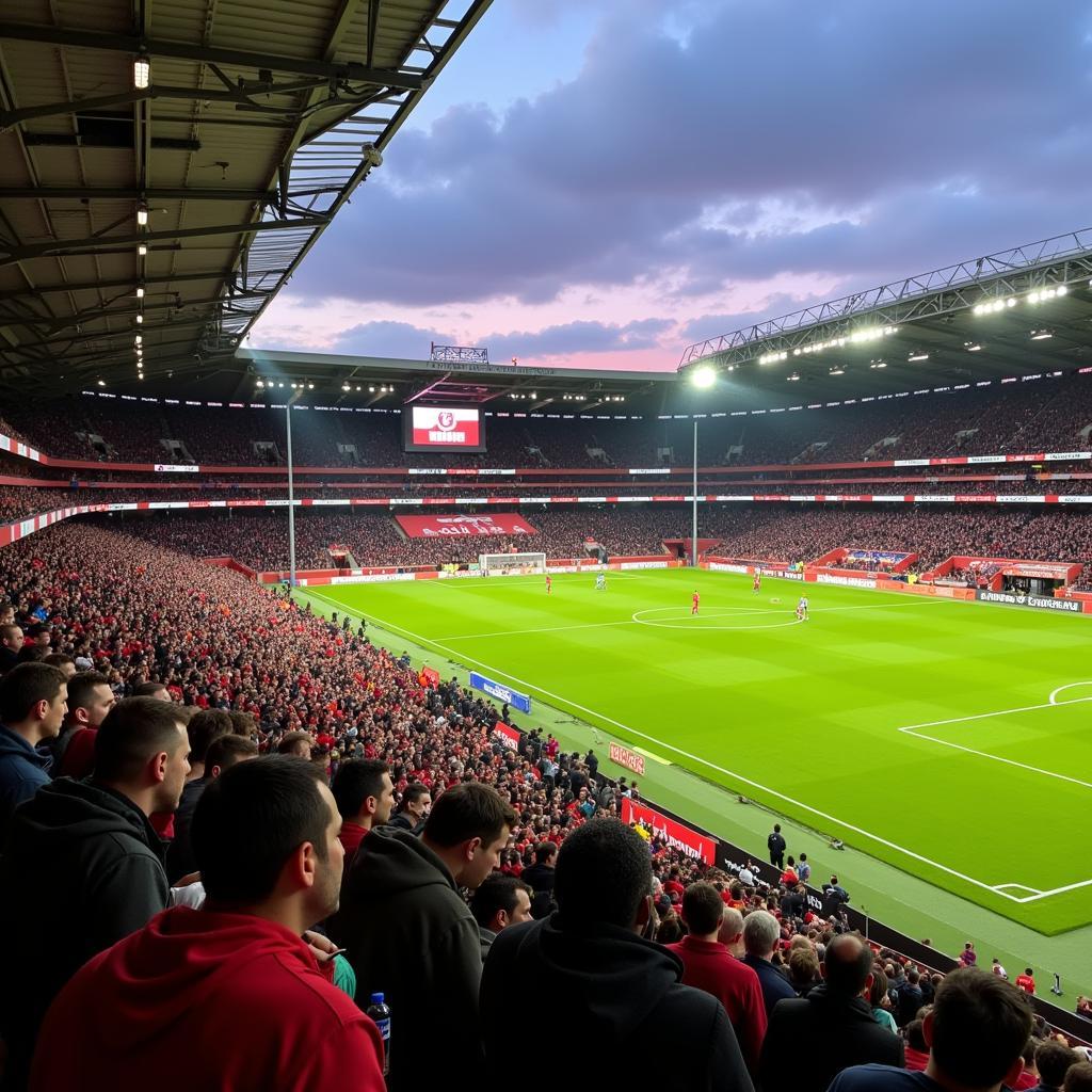 Fans im Stadion bei Leverkusen gegen Werder Bremen