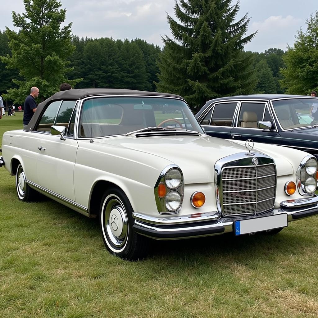 Mercedes 250er Treffen in Leverkusen