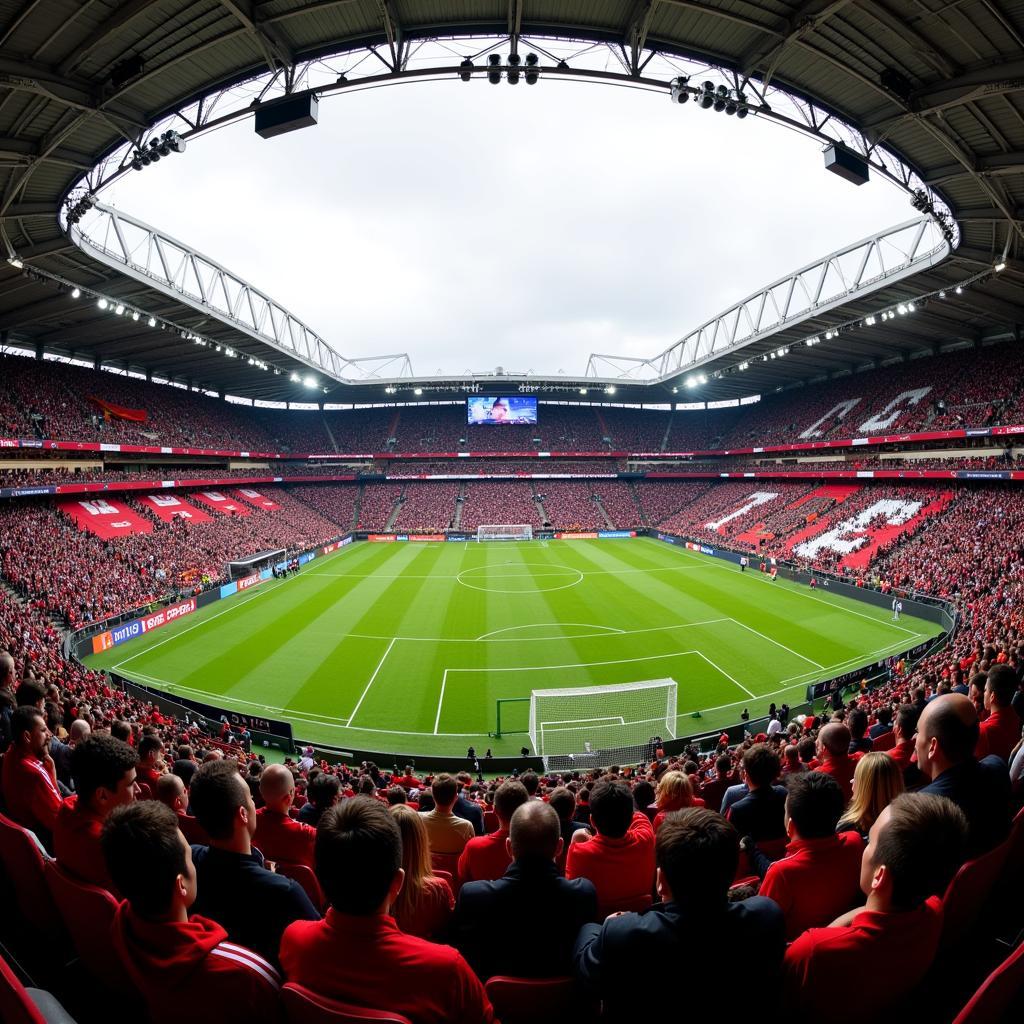 Mitgliedschaft Bayer Leverkusen Stadion