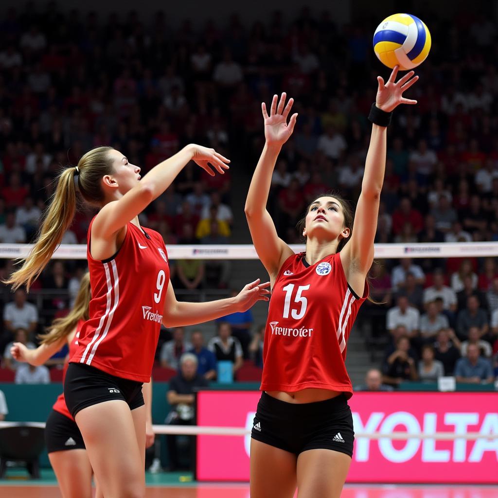 Spannendes Volleyball-Match in Leverkusen