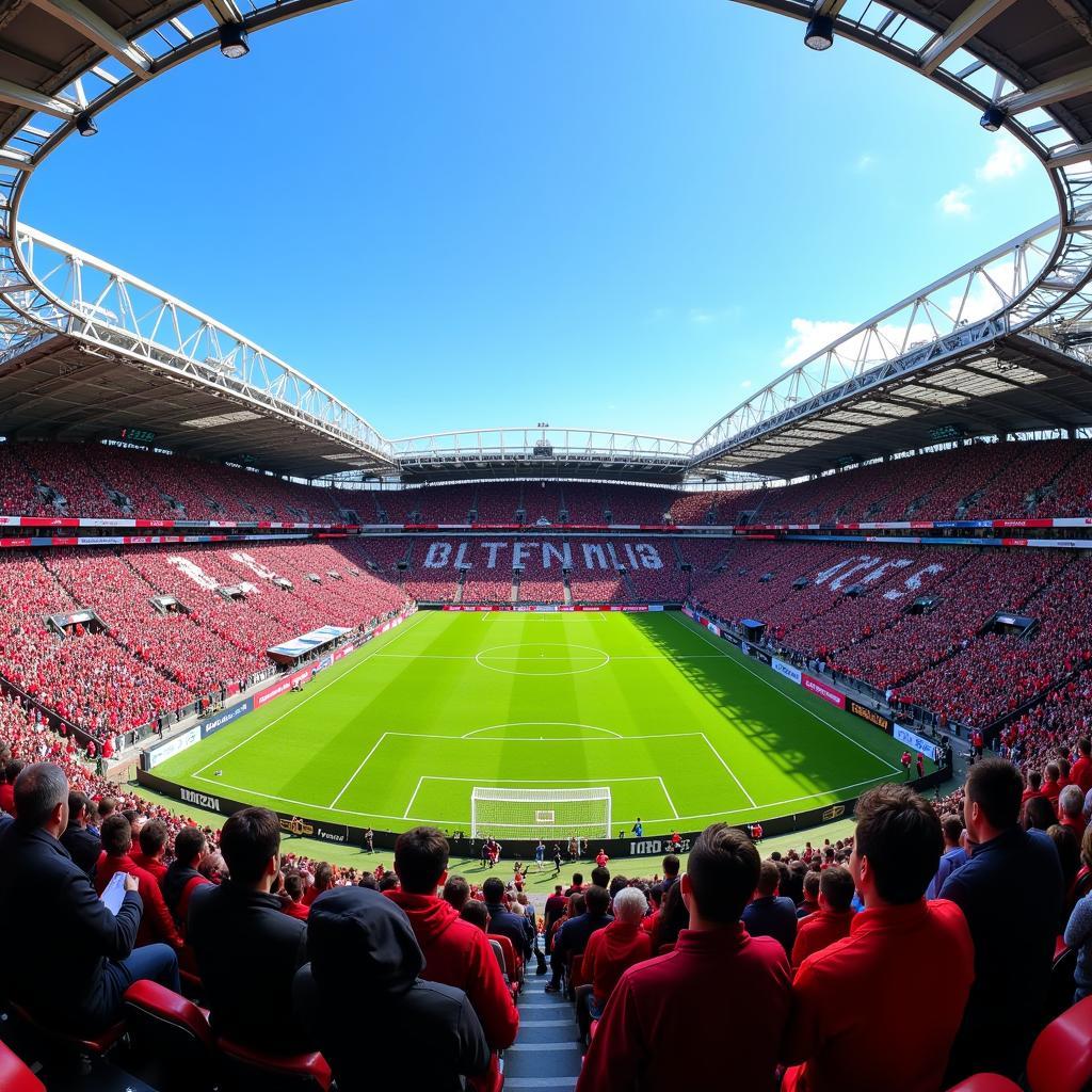 Sonniges Wetter im Stadion in Leverkusen