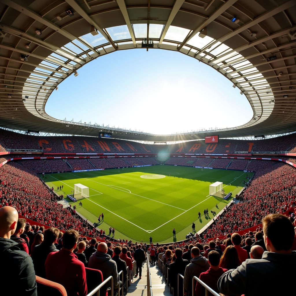 Stadionführung BayArena