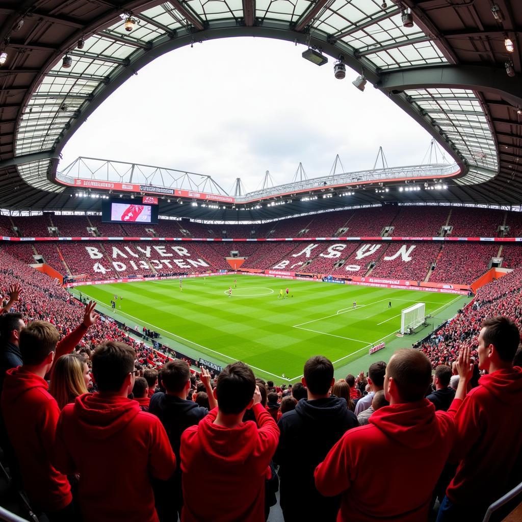 Fans von Bayer Leverkusen im Stadion