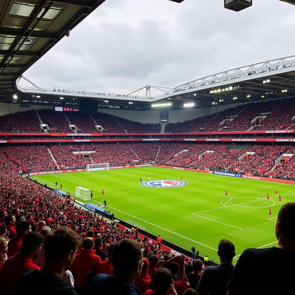 Das Ulrich-Haberland-Stadion mit jubelnden Fans im Hintergrund