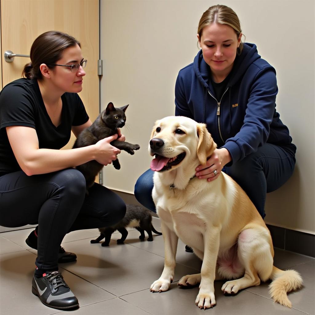 Hunde und Katzen warten in der Adoptionsvermittlungsstelle Leverkusen auf ein neues Zuhause.