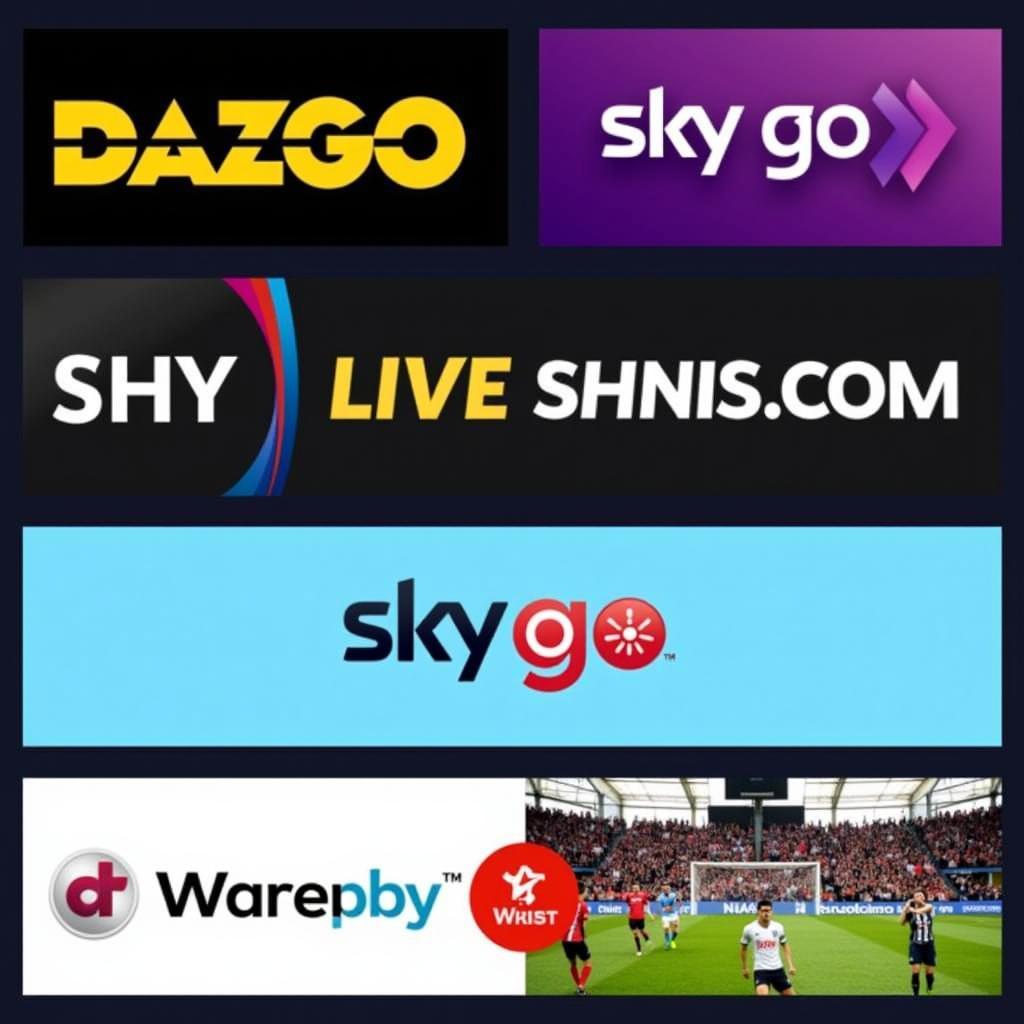 AS Monaco vs Bayer Leverkusen Live Stream Optionen