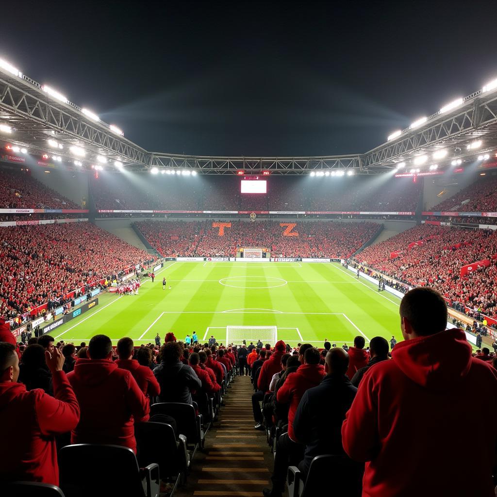 Fans im Stadion Augsburg Leverkusen 2015