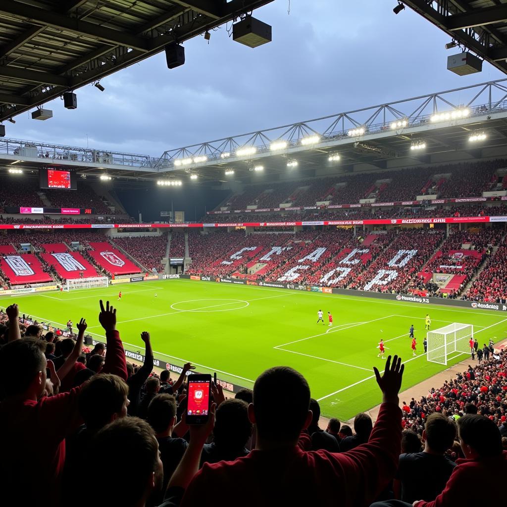 Fans im Stadion bei einem Augsburg-Leverkusen-Spiel