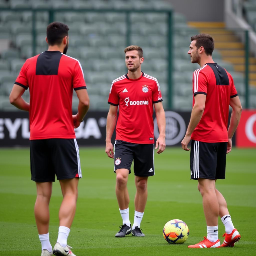 Bayer 04 Leverkusen 2 Trainingseinheit