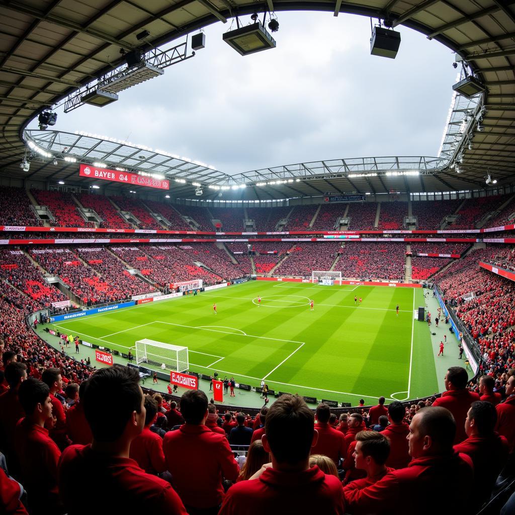 Die Fans von Bayer 04 Leverkusen in der Saison 2005/06