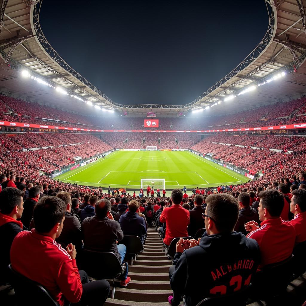 Bayer 04 Leverkusen Fans im Stadion