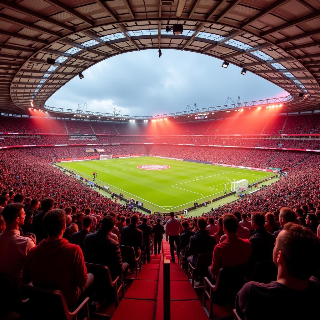 Bayer 04 Leverkusen Fans im Stadion