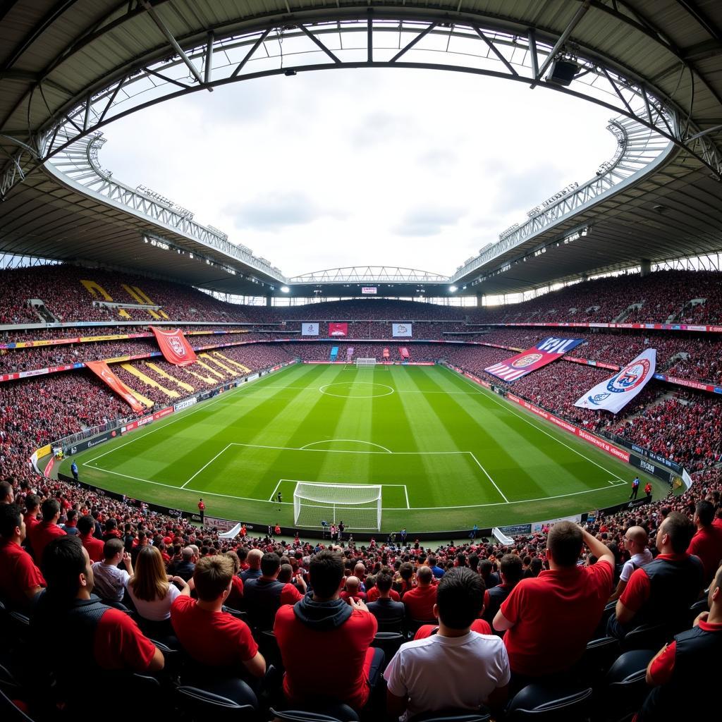 Fans von Bayer 04 Leverkusen und Mainz 05 im Stadion