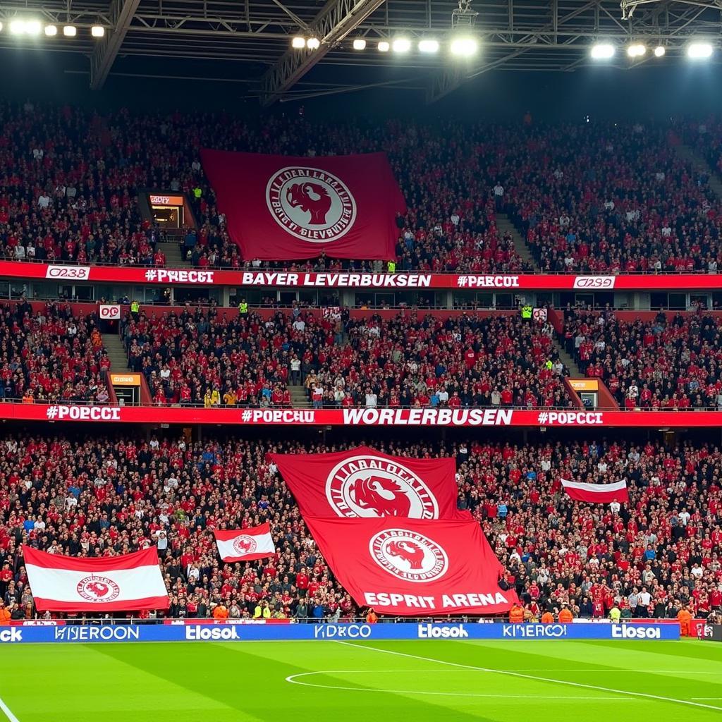 Bayer Leverkusen Fans in der Esprit Arena