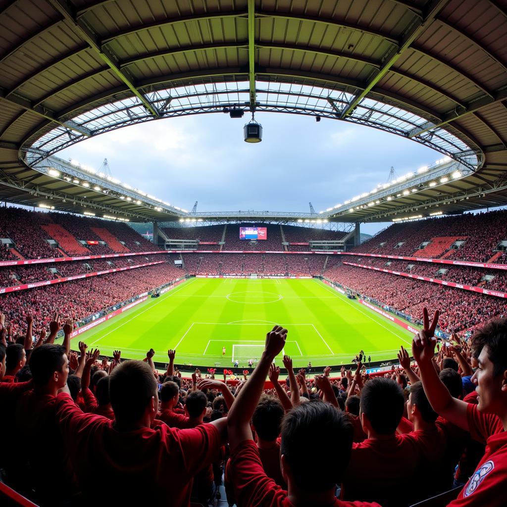 Bayer Leverkusen Fans im Stadion