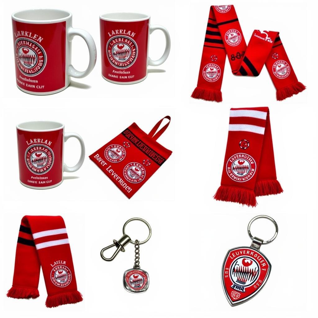 Geschenke im Bayer Leverkusen Fanshop finden