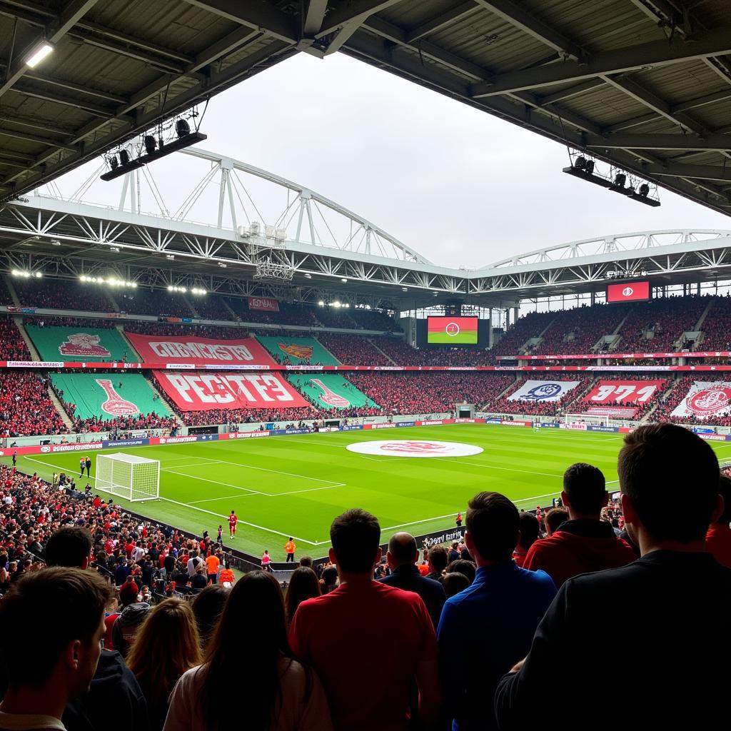 Die Fans und die Atmosphäre im Stadion beim Spiel Bayer Leverkusen gegen Ferencvárosi TC