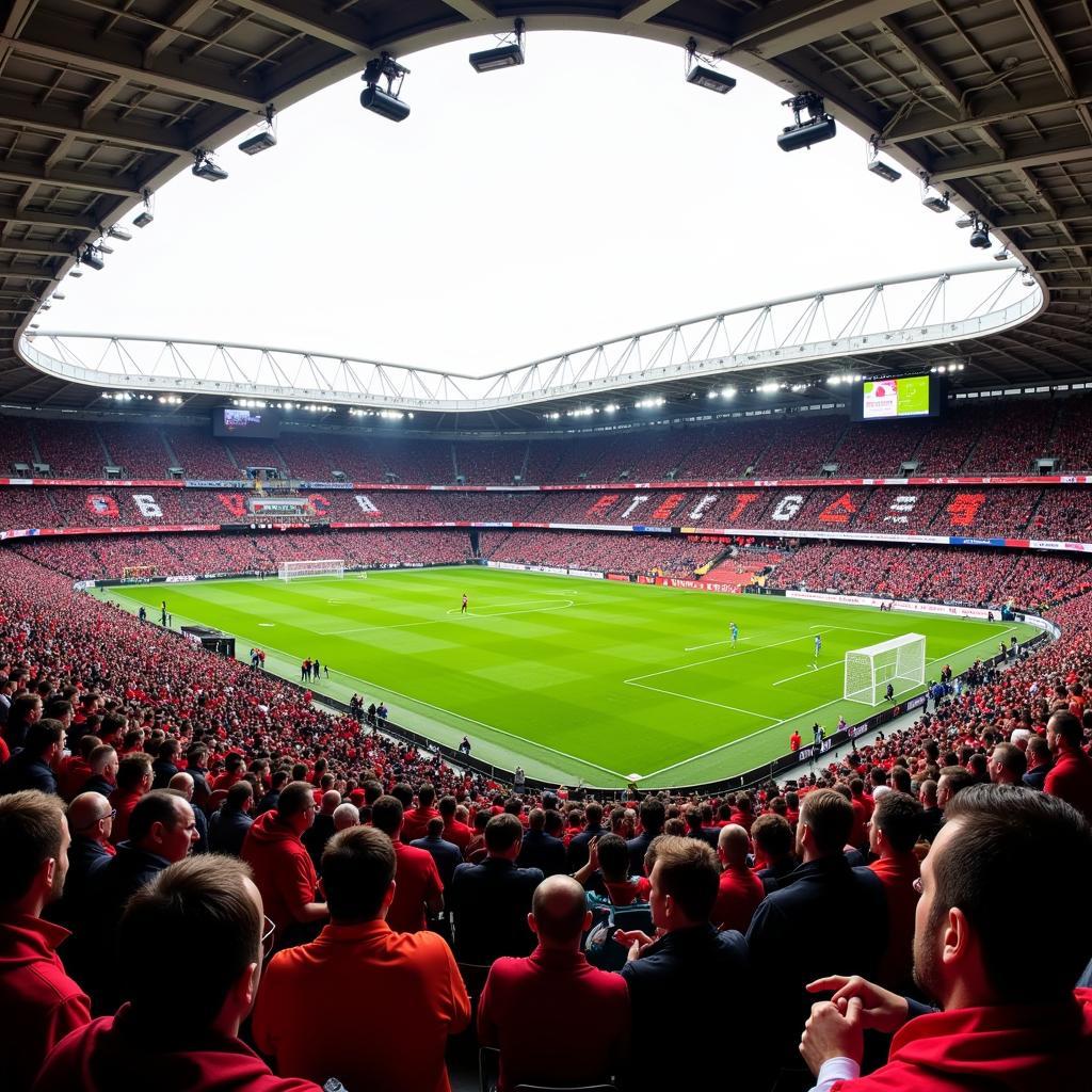 Bayer Leverkusen und Heidenheim Fans im Stadion