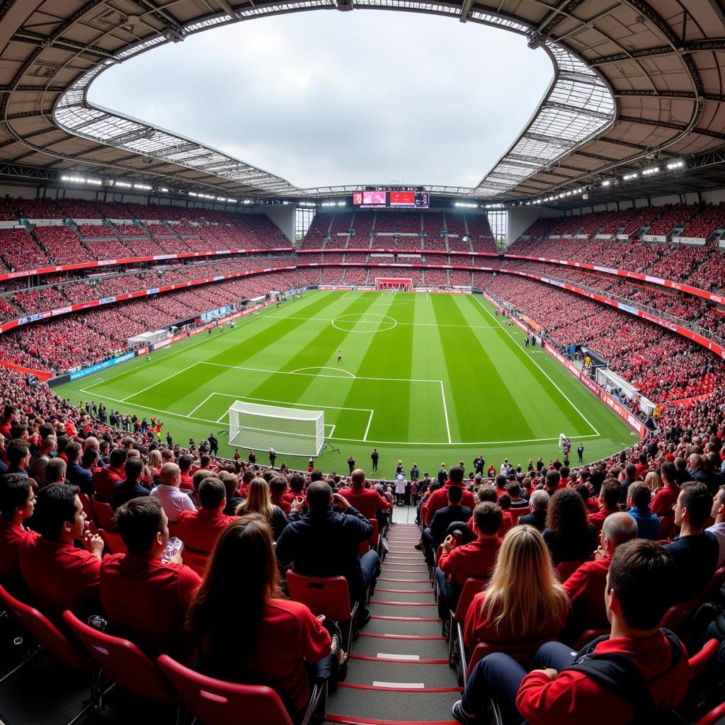 Tipps für einen gelungenen Stadionbesuch bei Bayer Leverkusen