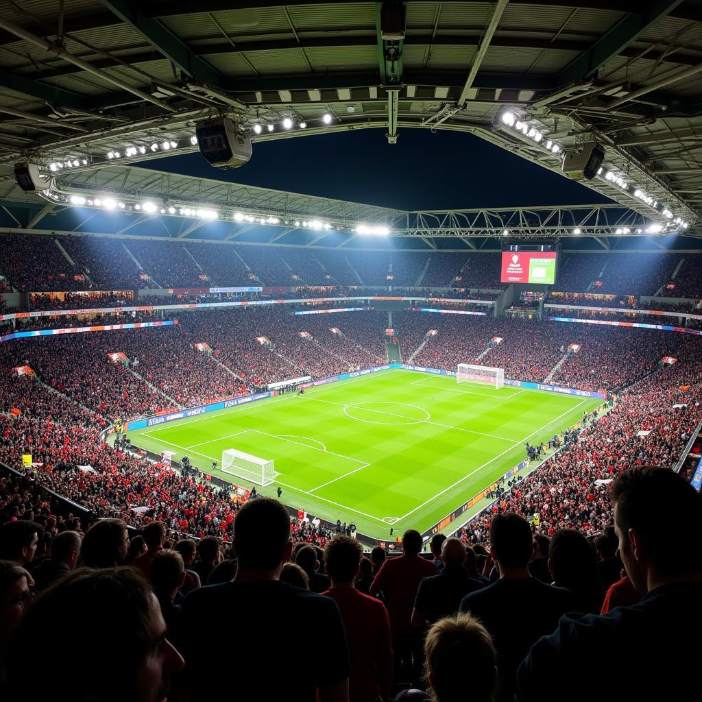 DFB Pokal BayArena Stadion Atmosphäre