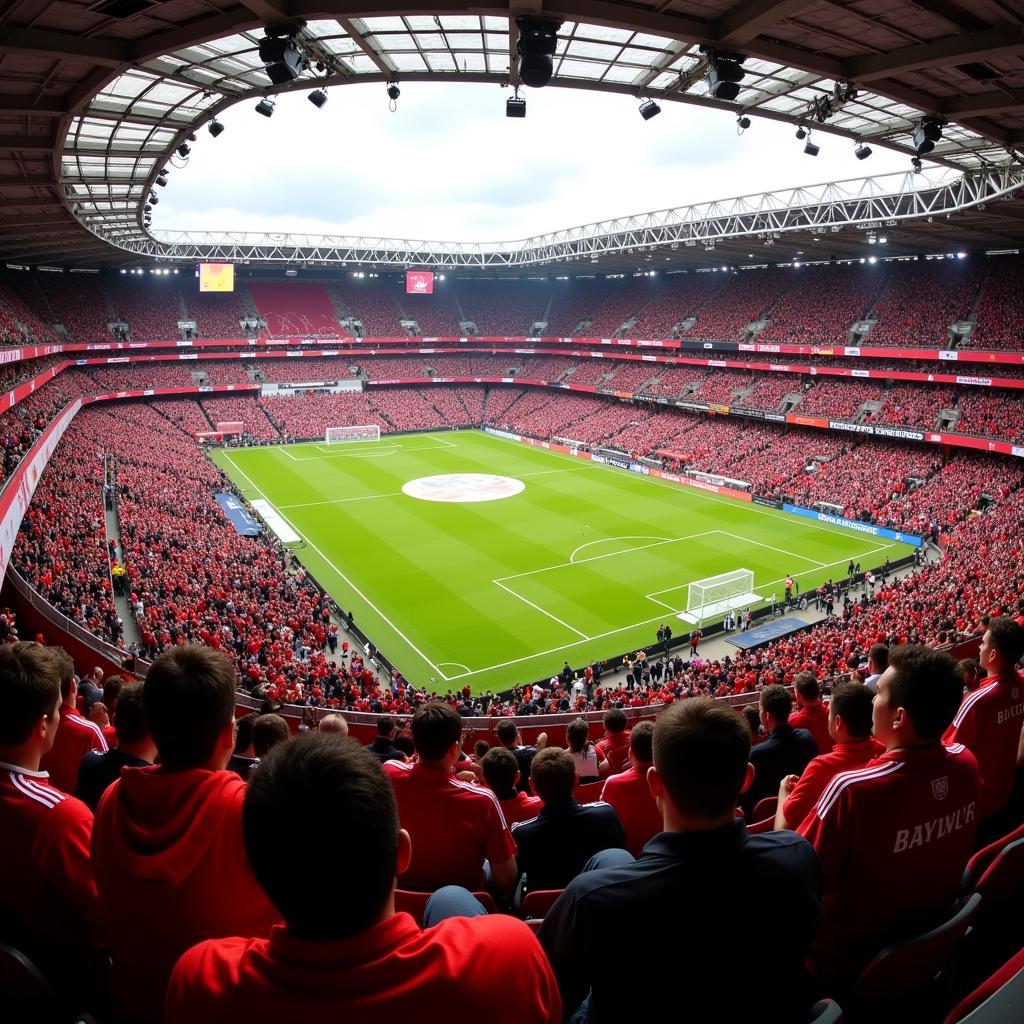 Bayer Leverkusen Fans in der BayArena