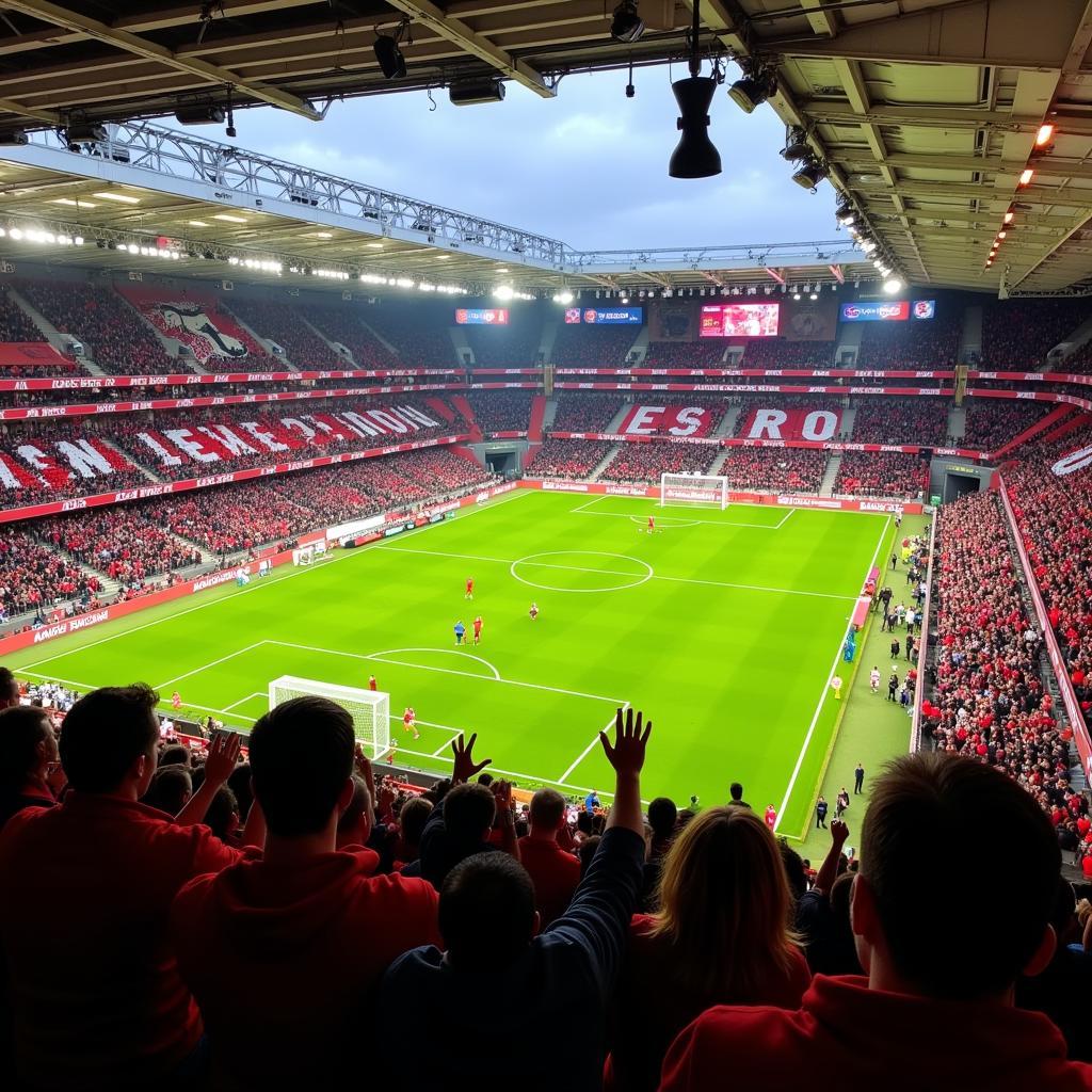 Fans jubeln in der BayArena Leverkusen