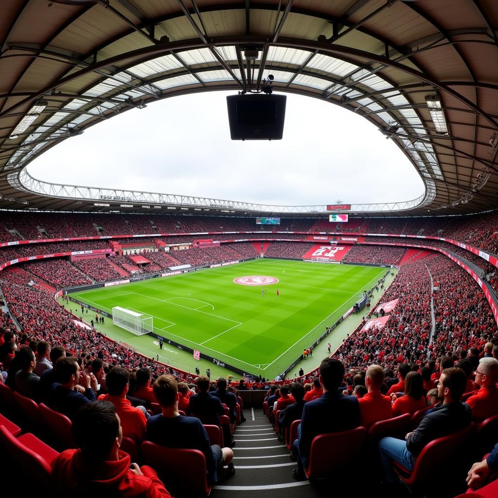 Fans im Stadion von Bayer Leverkusen