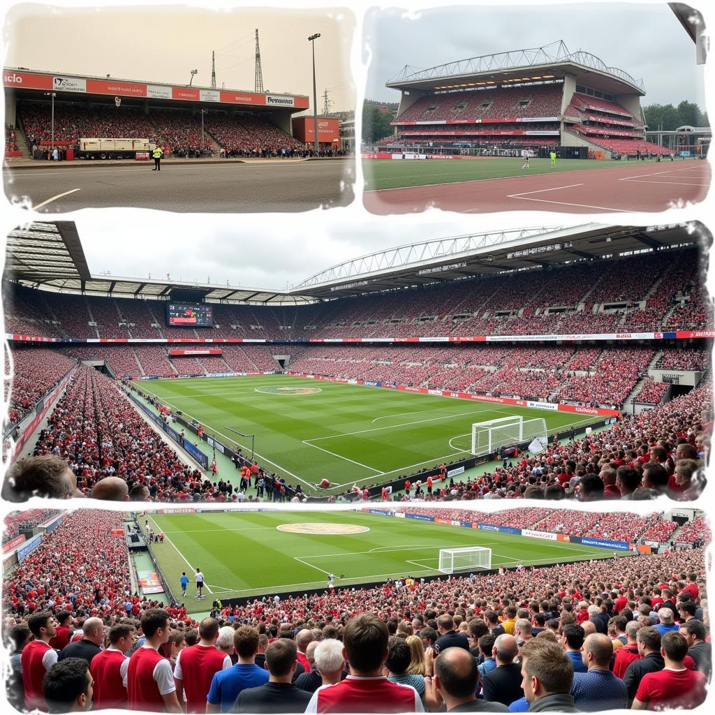 Die Geschichte von Bayer 04 Leverkusen am Sonnenhang: Vom Sportplatz Kurtenweg zur modernen BayArena.