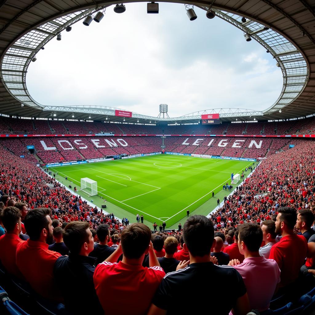 Heidenheim Leverkusen Fans im Stadion