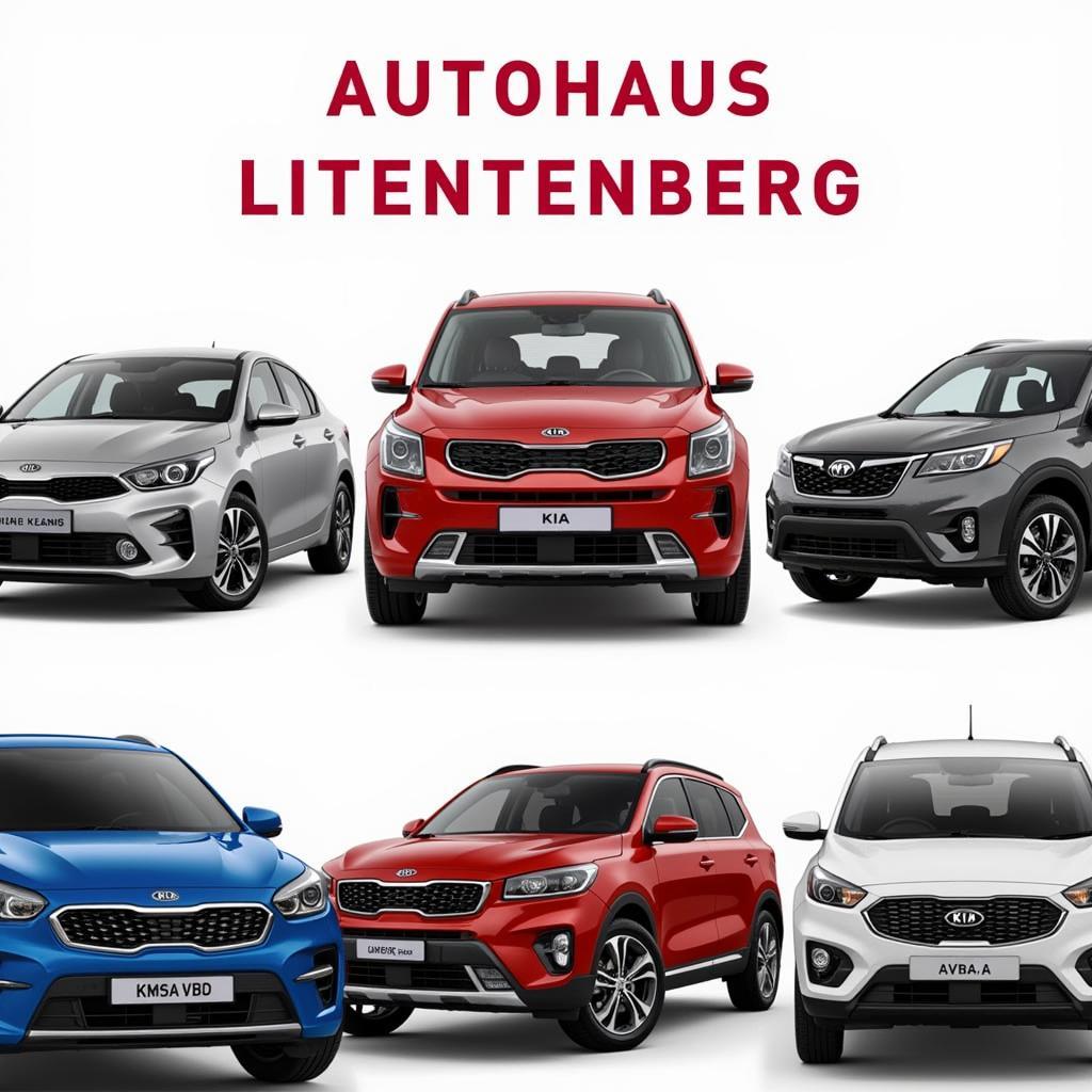 Kia Modelle im Autohaus Luchtenberg Leverkusen