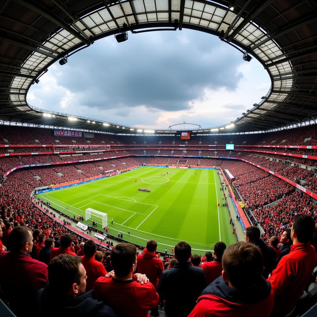 Leverkusen und Dortmund Fans im Stadion