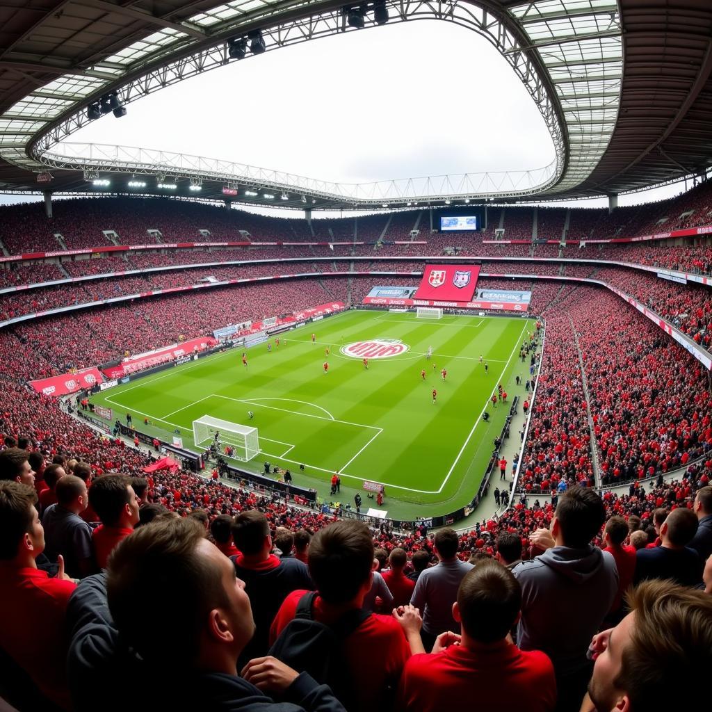 Leverkusen Fans im Stadion bei Europa League Spiel