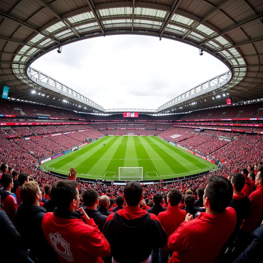 Die Fans im Stadion: Leverkusen gegen Stuttgart