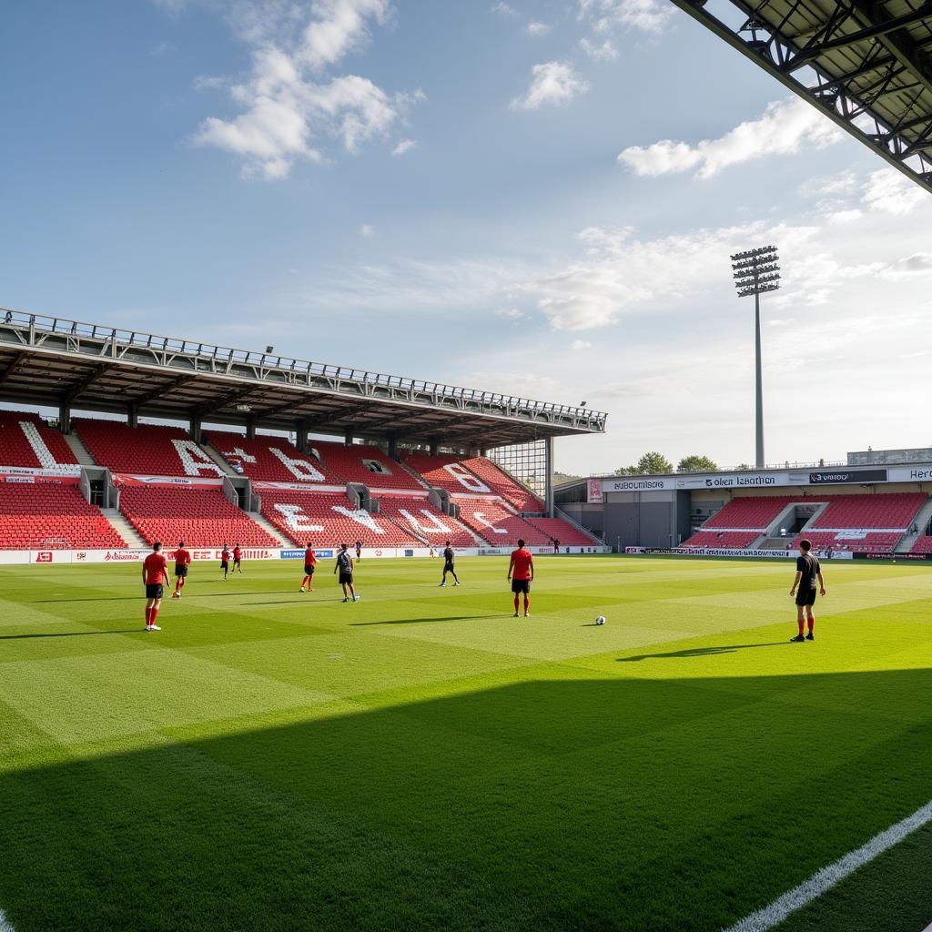 Zukunftsperspektiven Bayer 04 Leverkusen