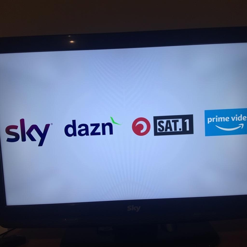 Sky, DAZN, Sat.1 und Amazon Prime Video übertragen Bayer Leverkusen Spiele live.