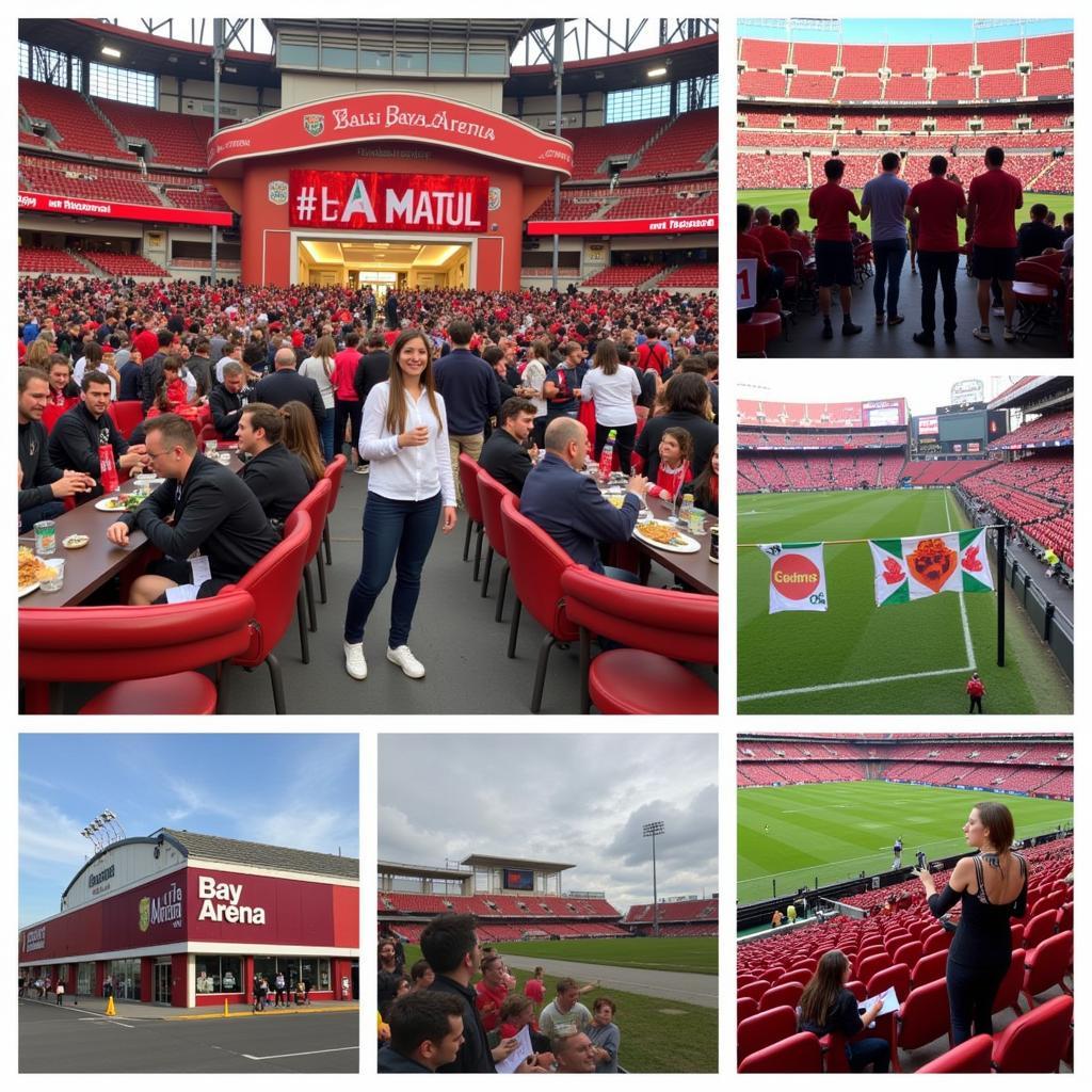 Tipps für den Stadionbesuch in der BayArena