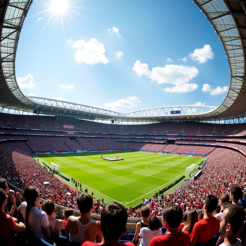 Sommerwetter in der BayArena