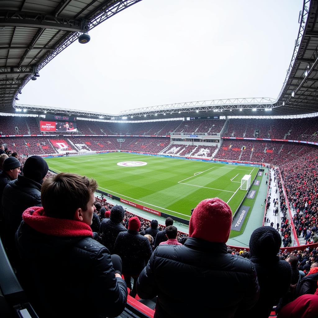 Winterwetter in der BayArena