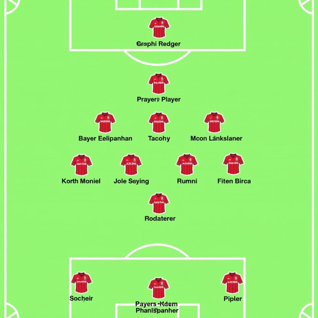 4-2-3-1 Formation von Bayer Leverkusen