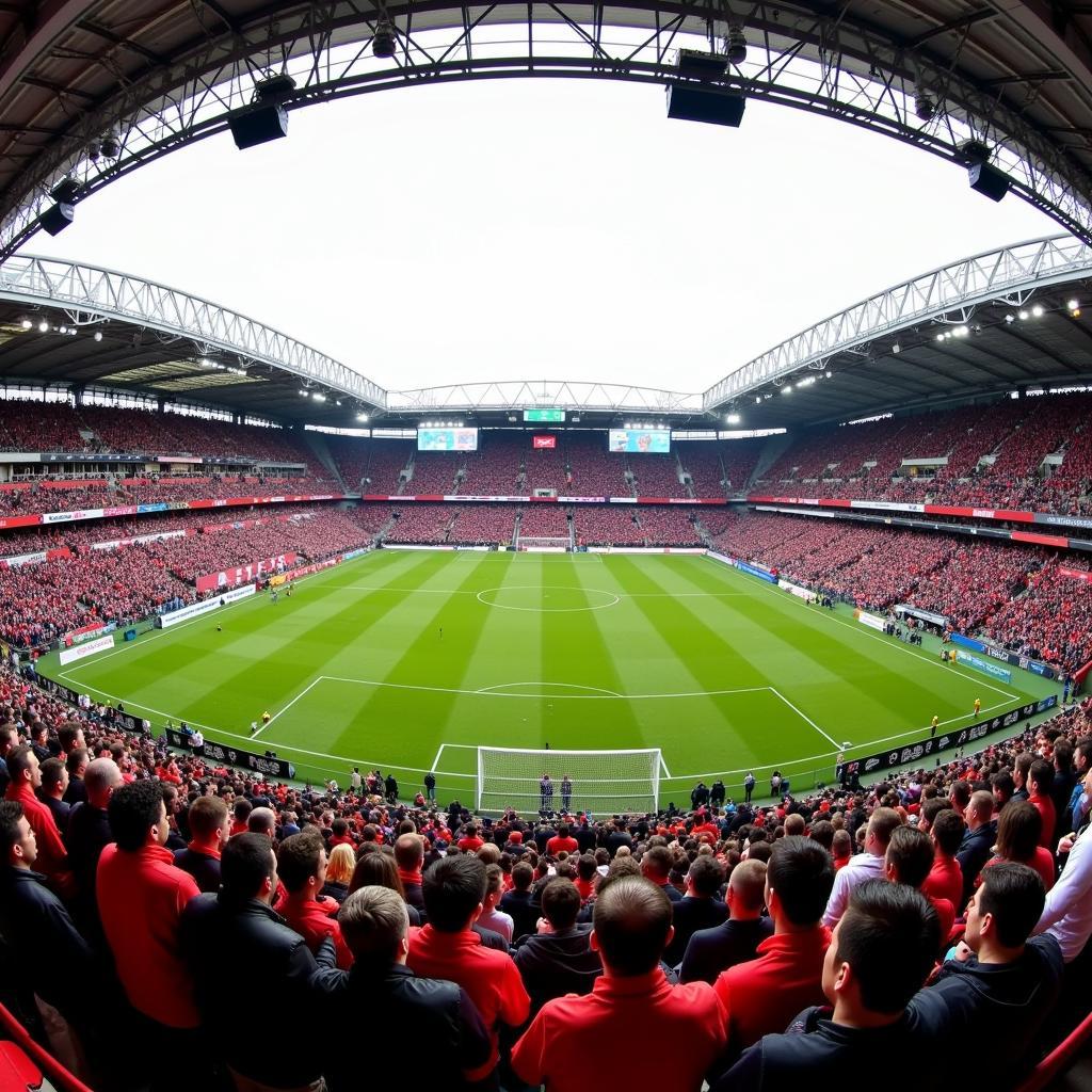 Fans im Stadion Augsburg Leverkusen