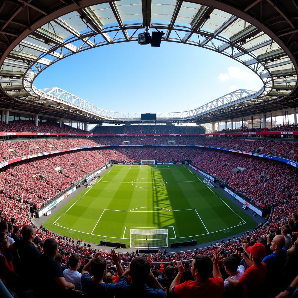 Die BayArena: Ein modernes Fußballerlebnis