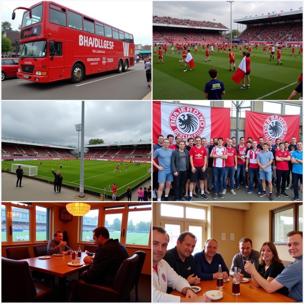 Bayer 04 Leverkusen Fanclub Aktivitäten