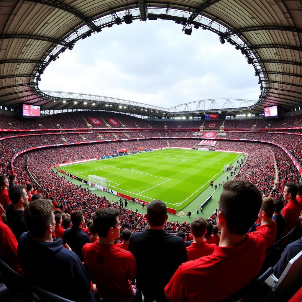 Bayer 04 Leverkusen Fans im Stadion