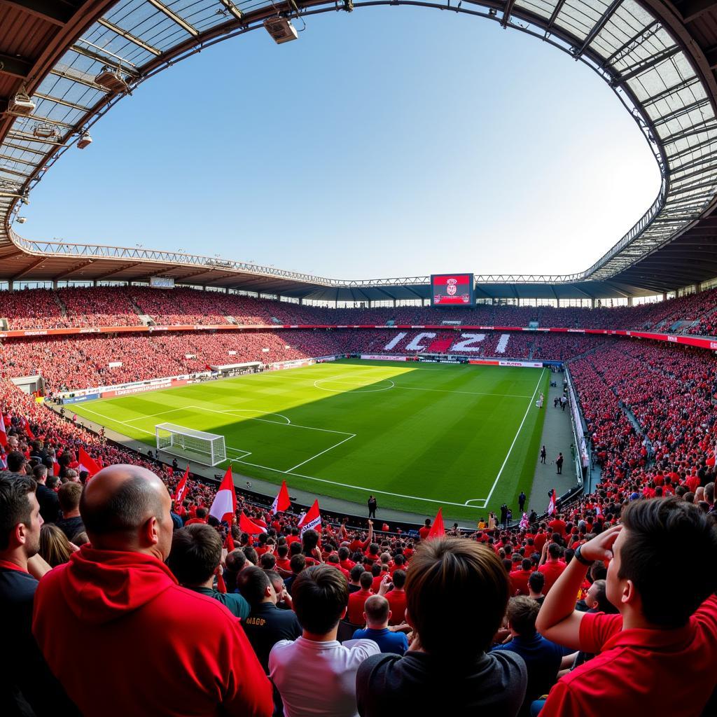 Bayer 04 Leverkusen Fans in der Nordkurve (Hang 12).