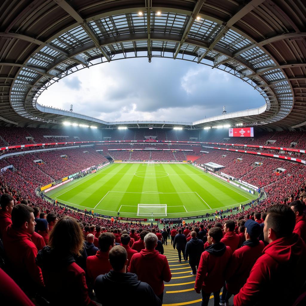 DaCapo Leverkusen Stadion am Spieltag