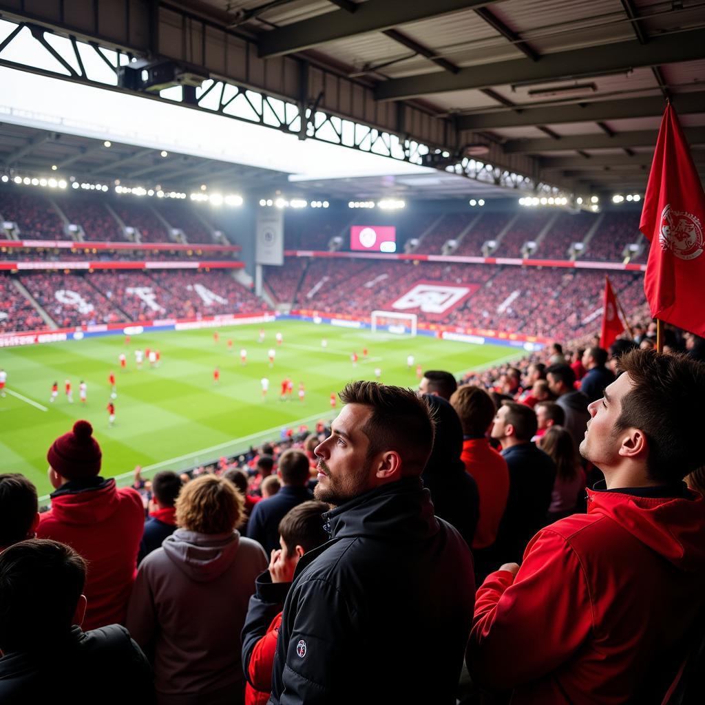 Fans von Bayer Leverkusen im Stadion am 11.11.22