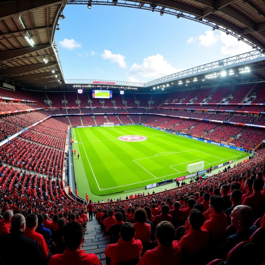 Fans im Stadion beim Spiel Augsburg gegen Leverkusen