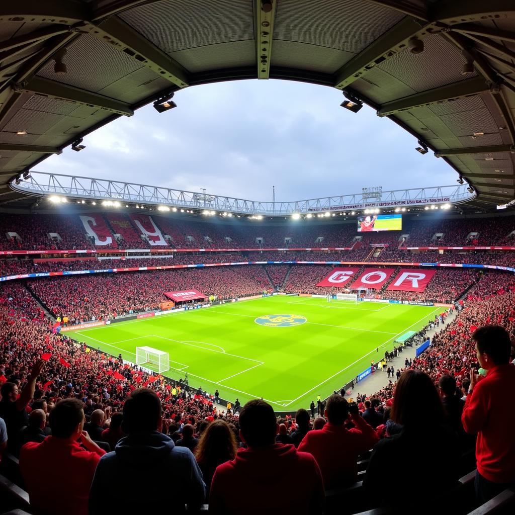 Fans in der BayArena Leverkusen