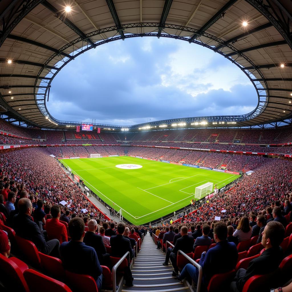 Fans in der BayArena beim Spiel Leverkusen gegen Augsburg